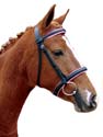 Bridle And Browbands
